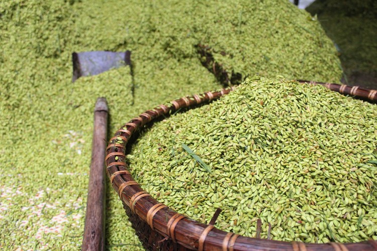 Los Com de la aldea de Me Tri, una de las exquisitas especialidades de Ha Noi