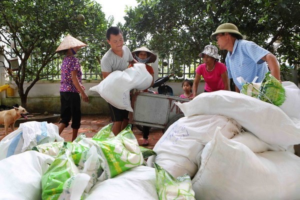 Asistencia del gobierno durante el período de precosecha para las provincias de Soc Trang y Nghe An