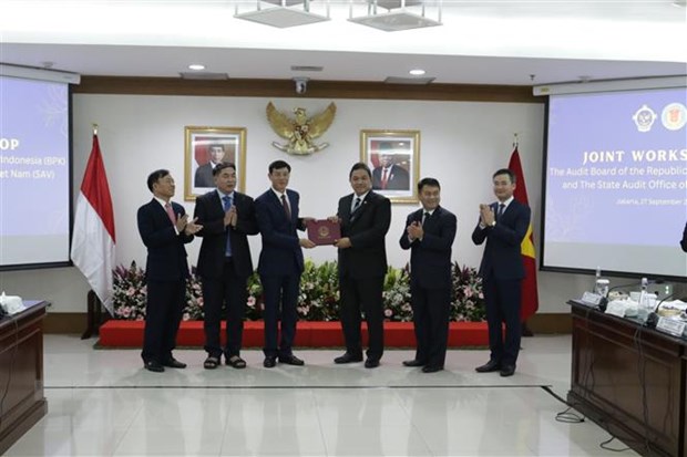 Intercambio de experiencias de auditoría entre Vietnam e Indonesia