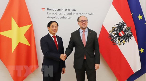 Canciller Bui Thanh Son realiza visita oficial a Austria