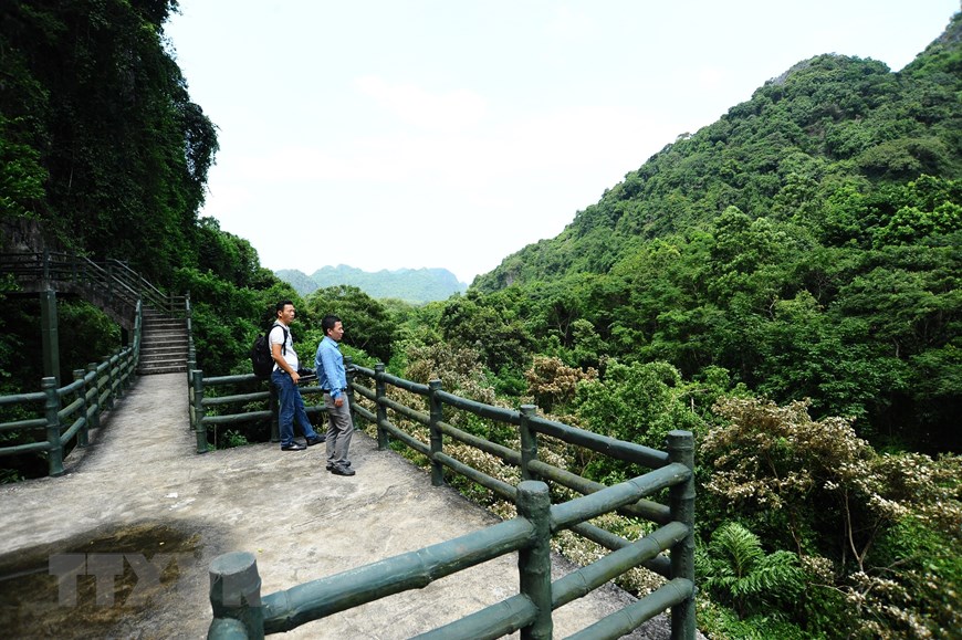 Explorar la cueva Trung Trang en el Parque Nacional Cat Ba