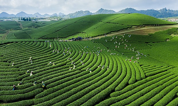 Premios internacionales afirman marca turística de Vietnam