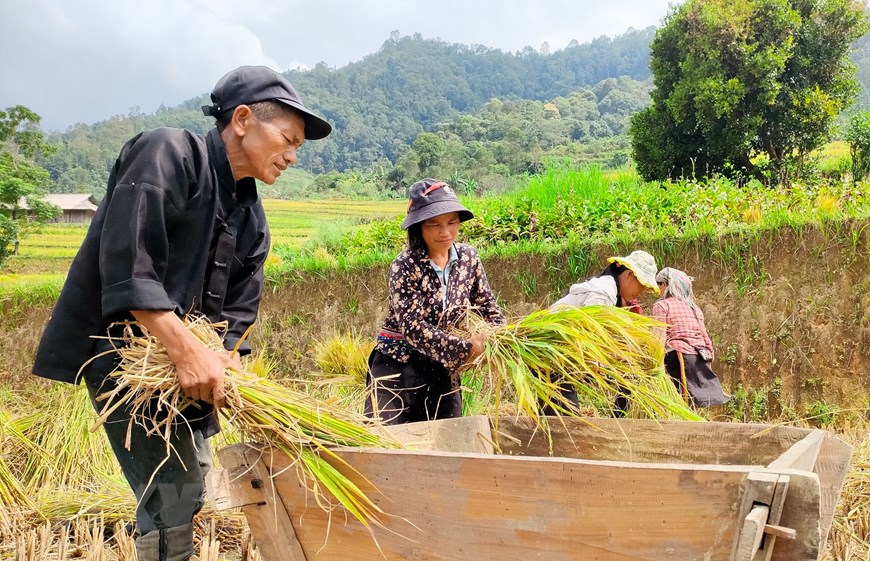 La cultura autóctona de la comunidad Gelao Rojo en Ha Giang
