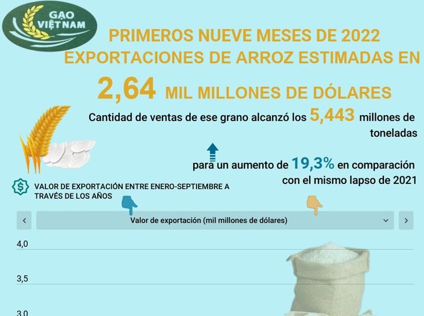 Exportaciones vietnamitas de arroz recaudan fondo multimillonario entre enero y septiembre
