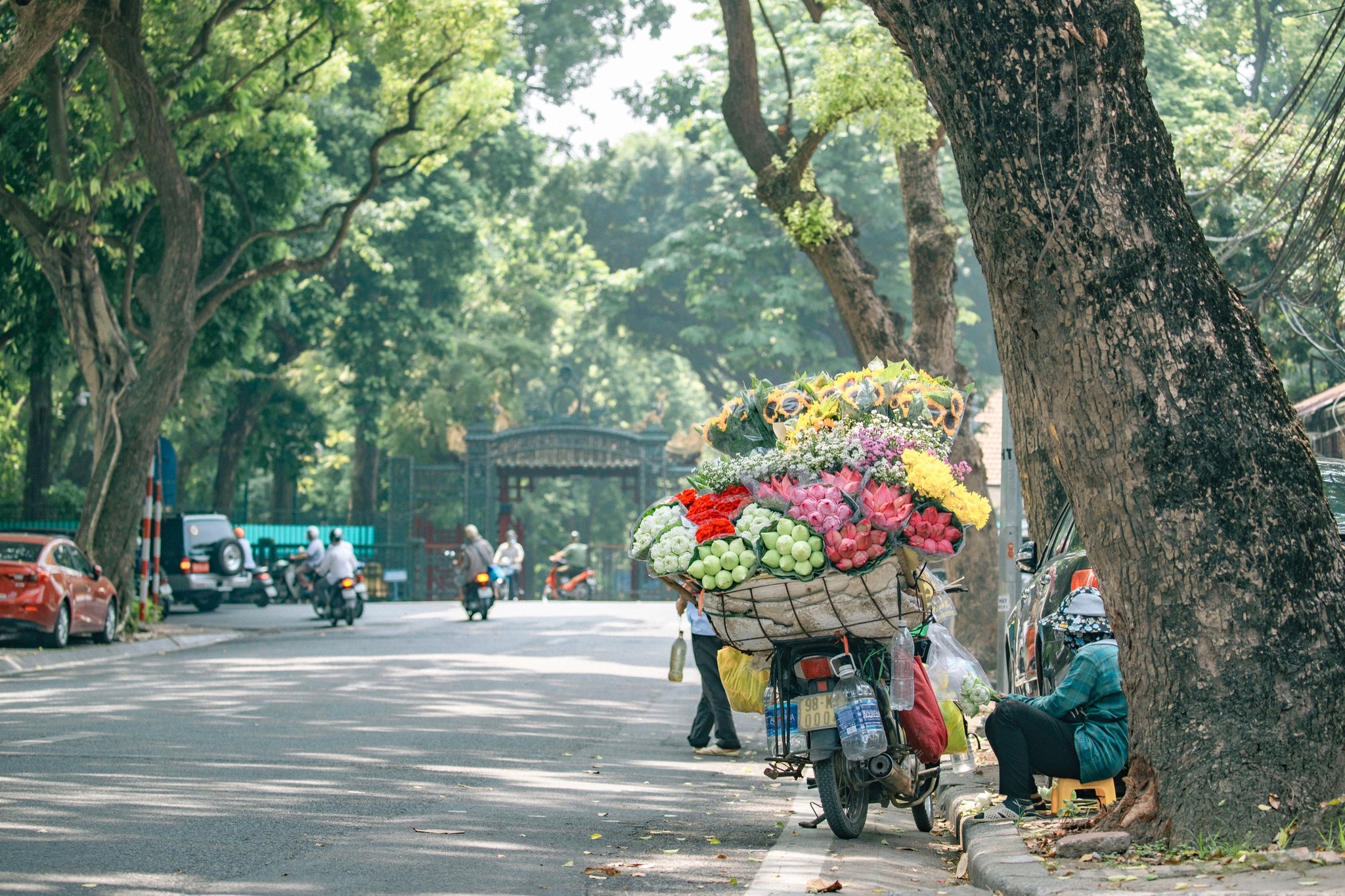 Vietnam figura entre los veinte mejores lugares para visitar en enero de 2023