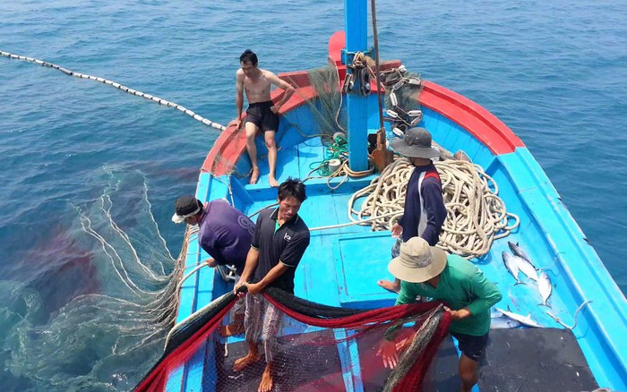Esfuerzos para poner fin a las violaciones de la pesca