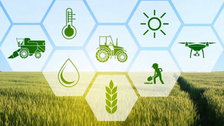 “Más con menos” modelo agrícola sostenible para Vietnam