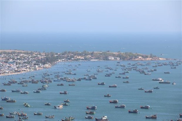 Año de Visita a Vietnam 2023 se centrará en turismo verde