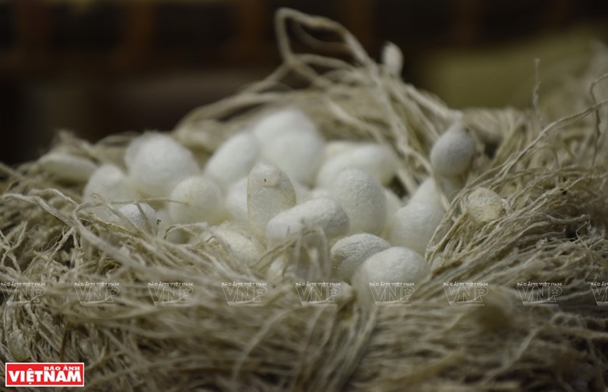 Ruta de la seda de Vietnam