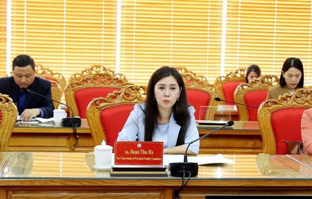 Provincia vietnamita busca cooperación con prefectura japonesa