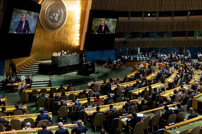 Vietnam defiende los principios básicos del derecho internacional y la obligación de proteger el medio ambiente