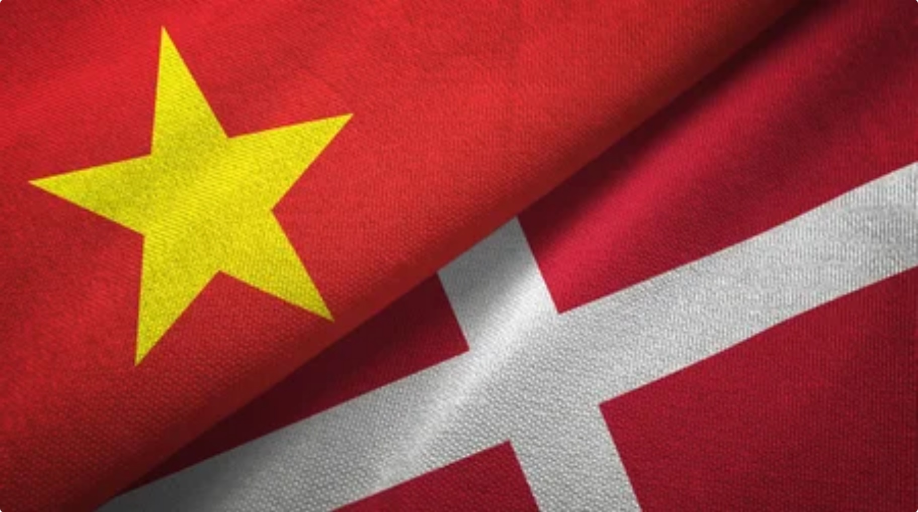 Relaciones de asociación integral entre Vietnam y Dinamarca