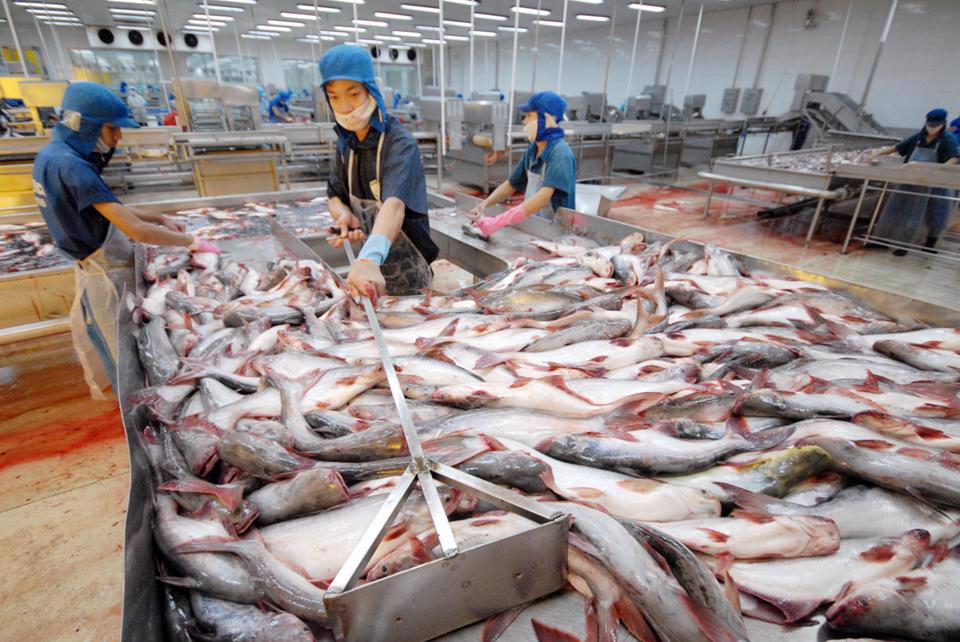 Vietnam cumplirá objetivo de exportación antes de lo previsto