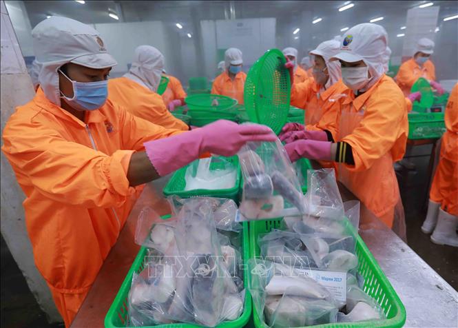 Revista alemana elogia las políticas efectivas de Vietnam hacia una economía dinámica