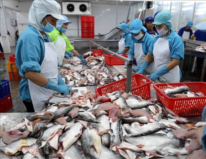 La cuota de productos del mar de Vietnam aumenta en los mercados de América Latina