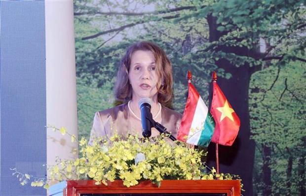 El intercambio cultural fortalece las relaciones Vietnam-Hungría