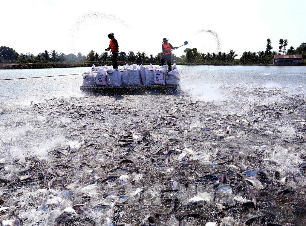 Las exportaciones de pescado tra registran el mayor crecimiento entre los productos pesqueros