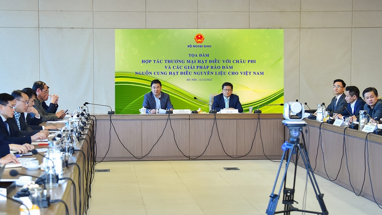 Búsqueda de soluciones para asegurar el suministro de anacardos crudos para Vietnam