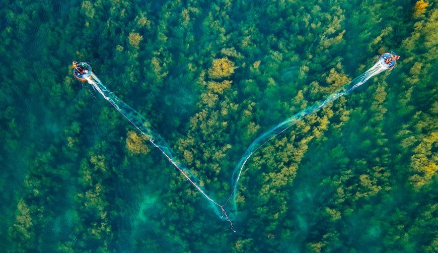 Bosque de algas en la provincia vietnamita de Quang Ngai visto desde arriba
