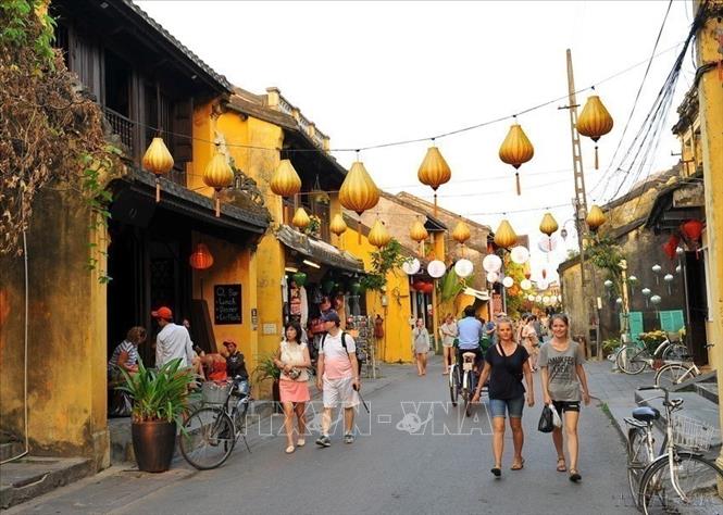 Búsquedas internacionales de turismo en Vietnam siguen creciendo