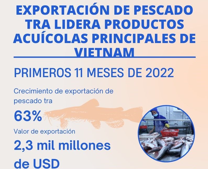 Exportación de pescado Tra lidera productos acuícolas principales de Vietnam