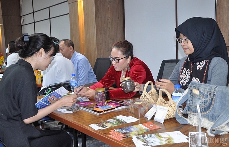 Vietnam e Indonesia tienen potencial para impulsar su asociación económica