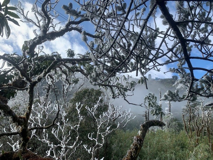 Montañas cubiertas de nieve en Vietnam