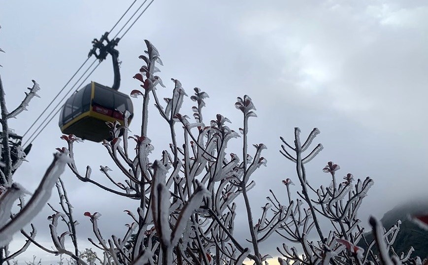 Escarcha cubre montaña Fansipan en Vietnam