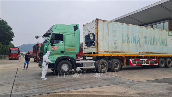 Lao Cai recibe buenas noticias de las actividades de importación y exportación en el día de Año Nuevo