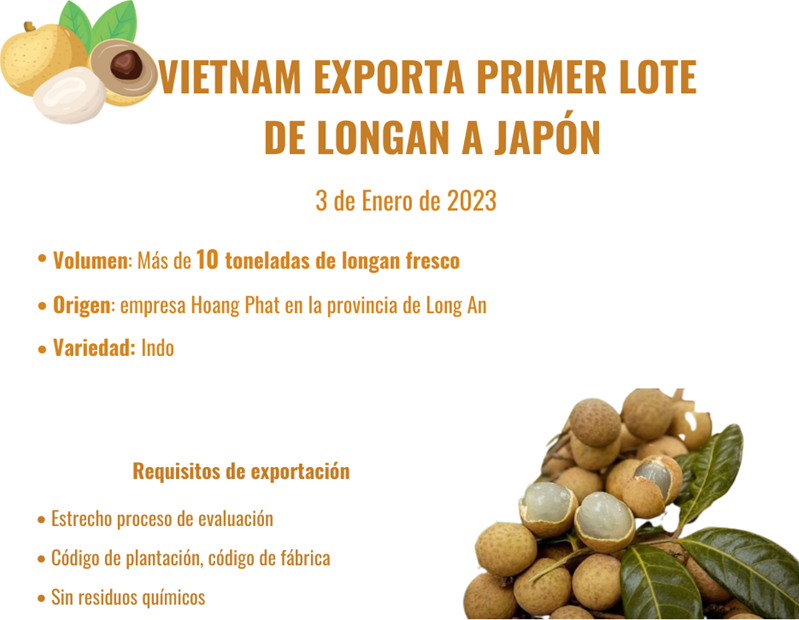 Vietnam exporta primer lote de longan a Japón