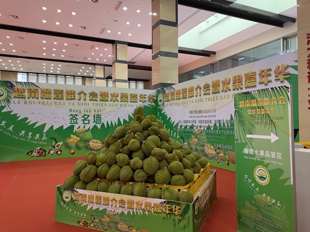 Inaugurado festival vietnamita del durián y la fruta en Tianjin