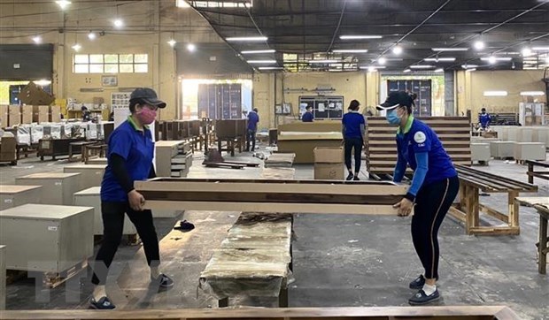 La exportación de madera y productos madereros recaudaría 25 000 millones de dólares para 2030