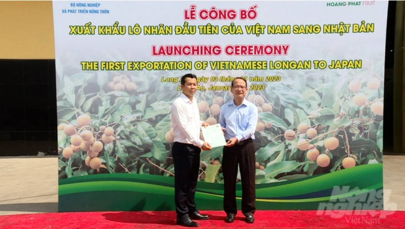 Vietnam exporta primer lote de longan fresco a Japón