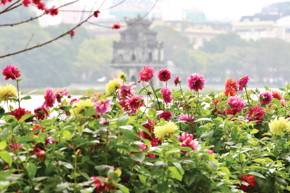 Hanói espléndida en Tet 2023