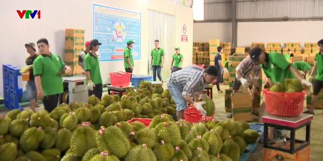 Las principales exportaciones de Vietnam entran en 2023 con confianza