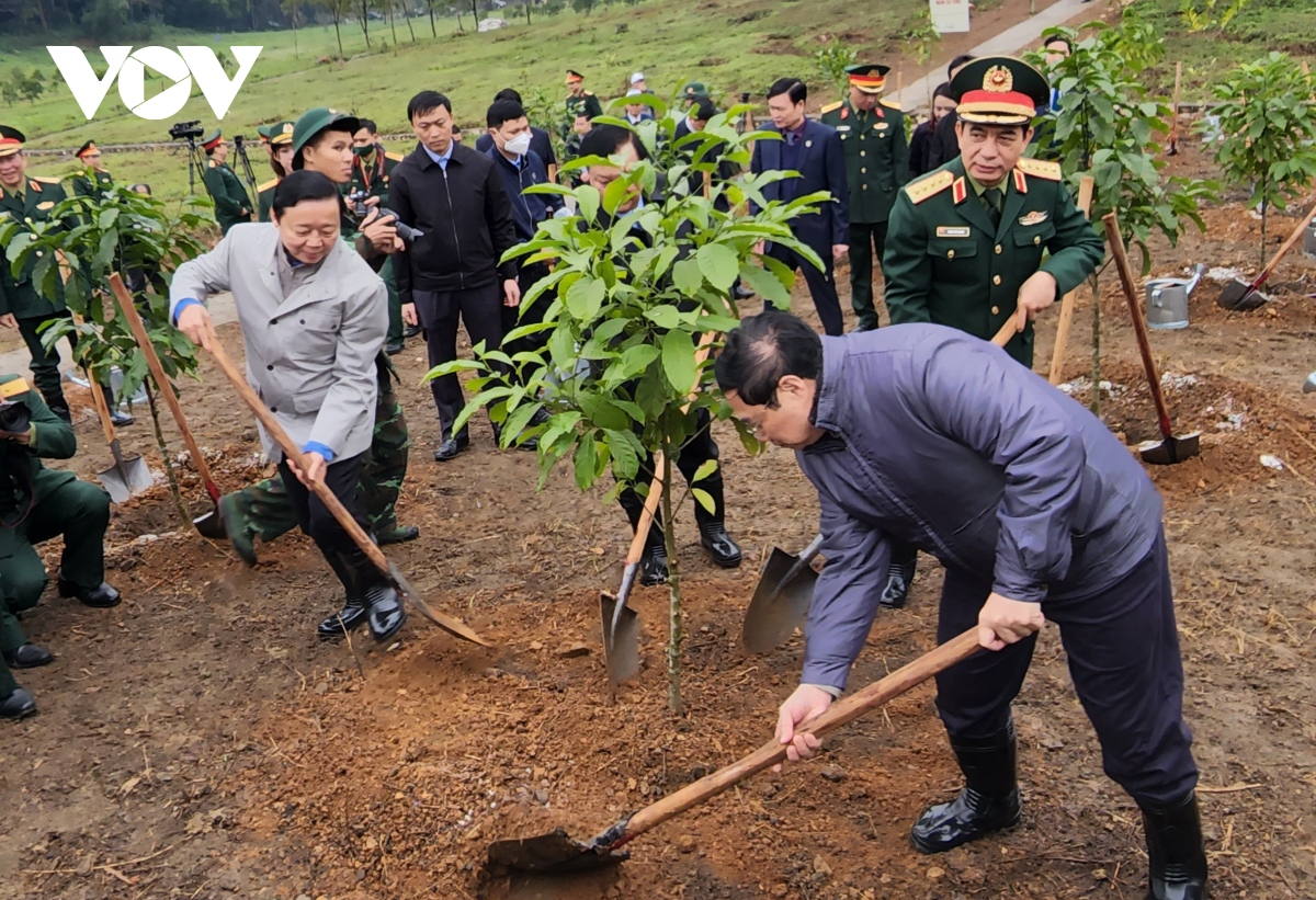 Arranca el Festival de Plantación de Árboles en honor del presidente Ho Chi Minh