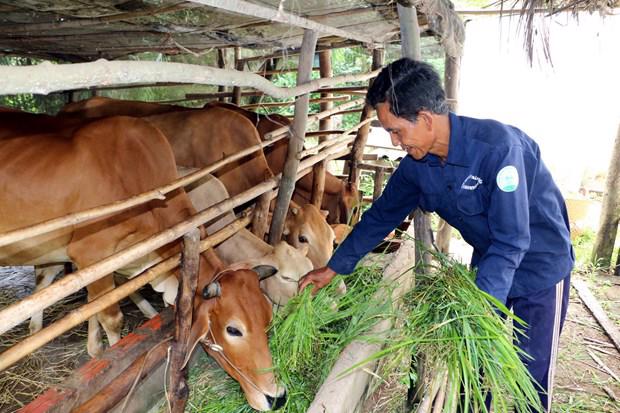 Vietnam se propone reducir la pobreza un 1,5  este año