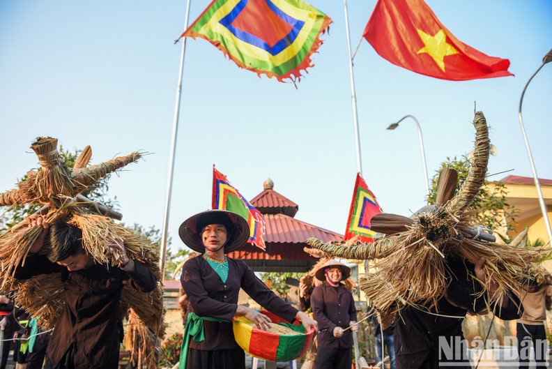 El Festival del Búfalo y la Vaca de Paja en la provincia de Vinh Phuc