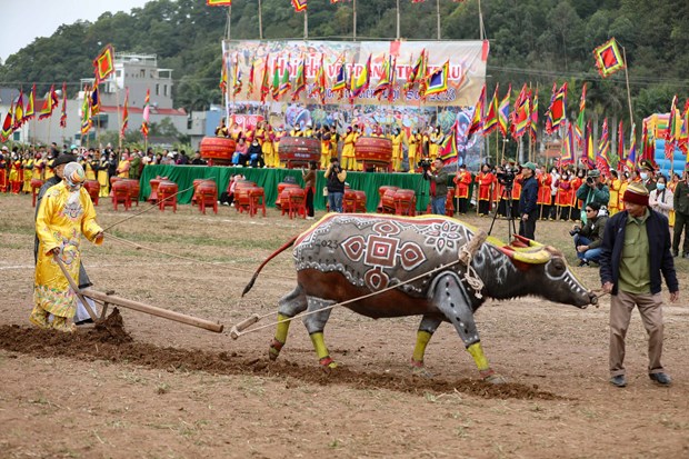 Festival tradicional de arado para orar por abundantes cosechas