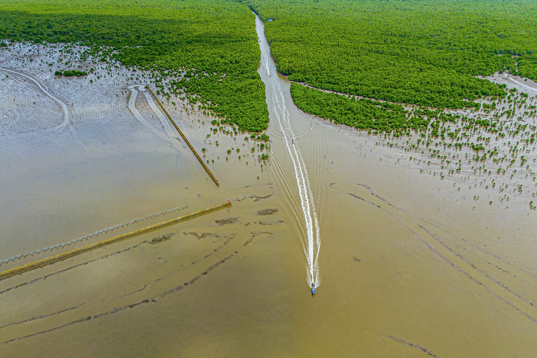 Impulsar el ecoturismo en el manglar del Cabo Ca Mau