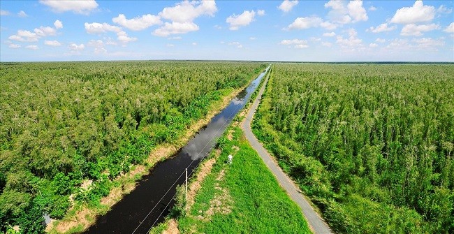 Desarrollo del mercado de carbono en Vietnam