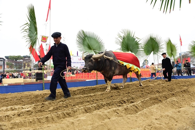 Las minorías étnicas norteñas celebran festivales únicos de “ir al campo”