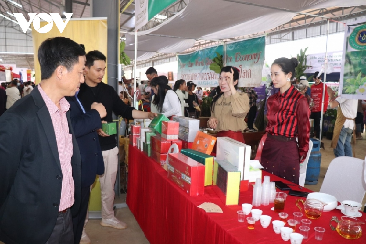 Empresas cafeteras de Vietnam buscan oportunidades en el mercado de Laos