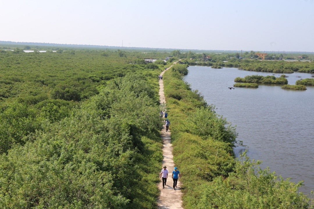 Arranca proyecto de restauración de manglares financiado por Corea del Sur lanzado en la provincia Ninh Binh