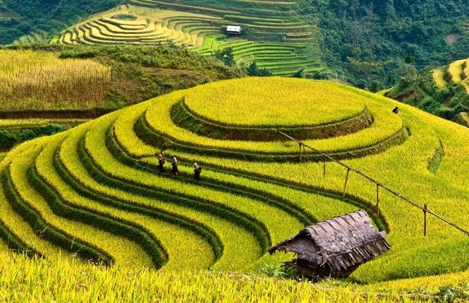 Bahía de Ha Long y Mu Cang Chai entre destinos más coloridos del mundo