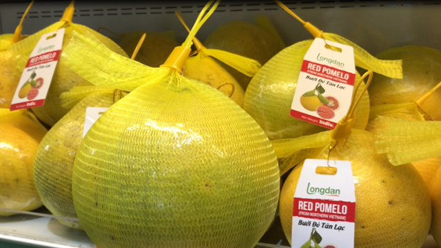 Primer lote de pomelos “Dien” exportados a Reino Unido