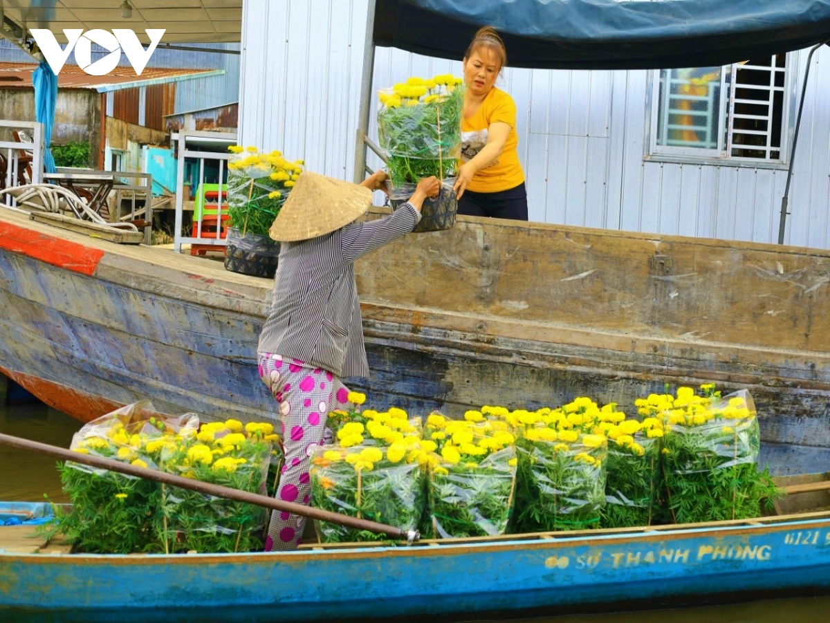 Excursión única en el mercado flotante de Cai Rang atrae a turistas extranjeros