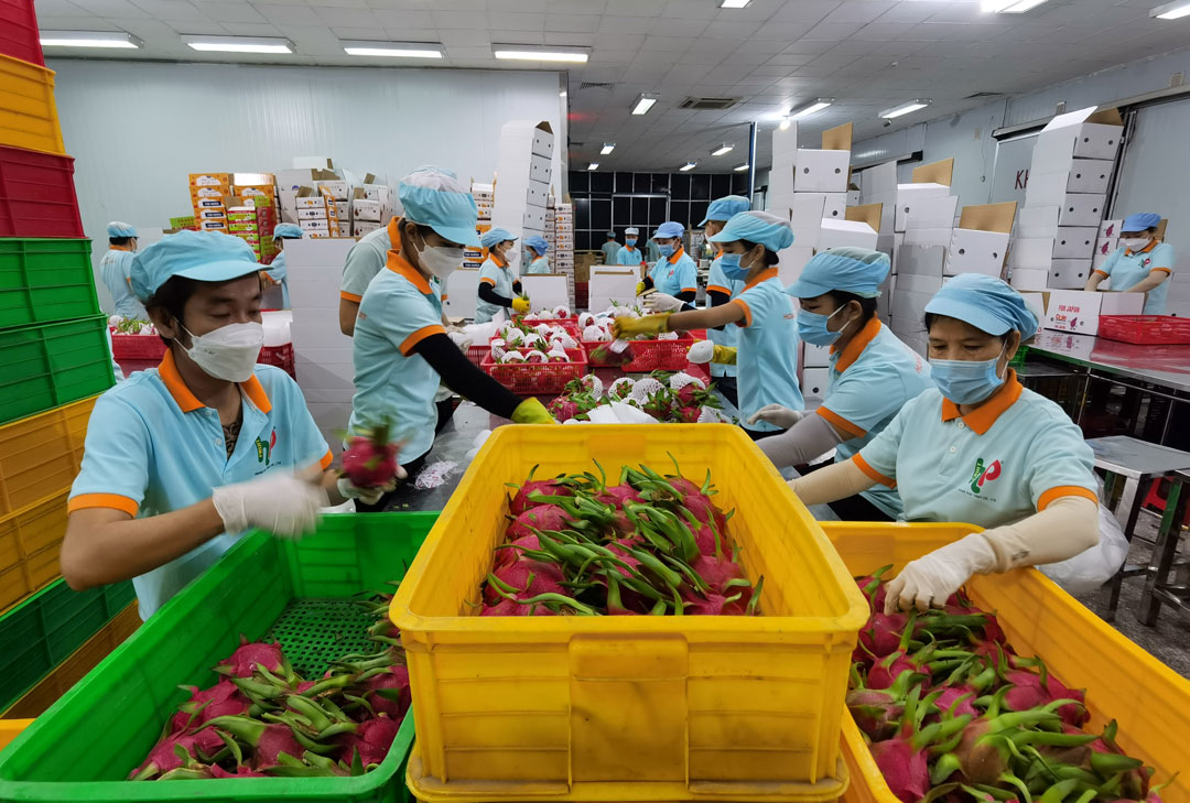 Vietnam pide a India abrir mercado para productos agrícolas vietnamitas