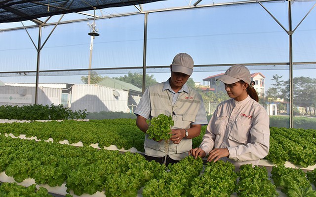 Vietnam y Holanda exaltan colaboración agrícola inteligente