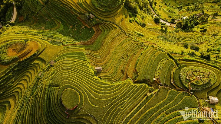 La bahía de Ha Long, Mu Cang Chai entre los 40 destinos más coloridos del mundo